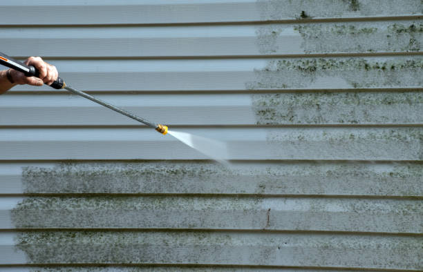 Mold Removal Process in Waseca, MN